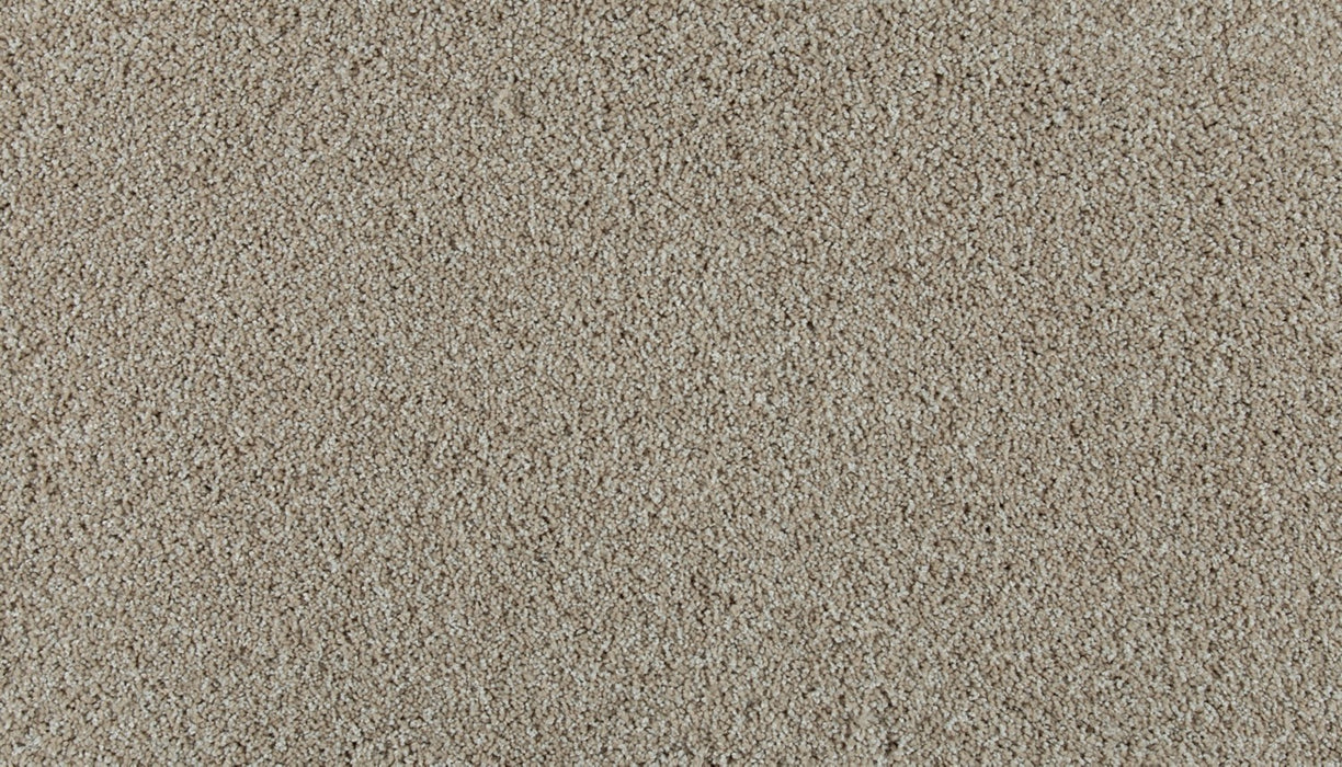 Olympus I Polyester Sugar Cone 736 Carpet Textured 1