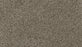 Olympus I Polyester Champagne 850 Carpet Textured 1