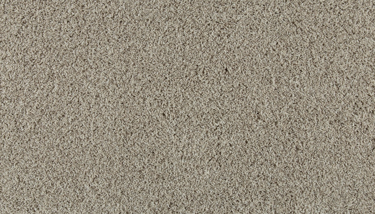 Olympus III Polyester Pearl 721 Carpet Textured 1