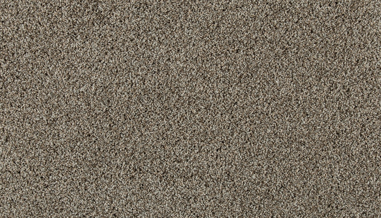 Olympus III Polyester Champagne 850 Carpet Textured 1