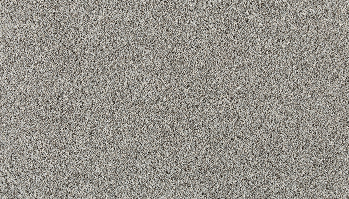 Olympus III Polyester Pewter Cloud 955 Carpet Textured 1