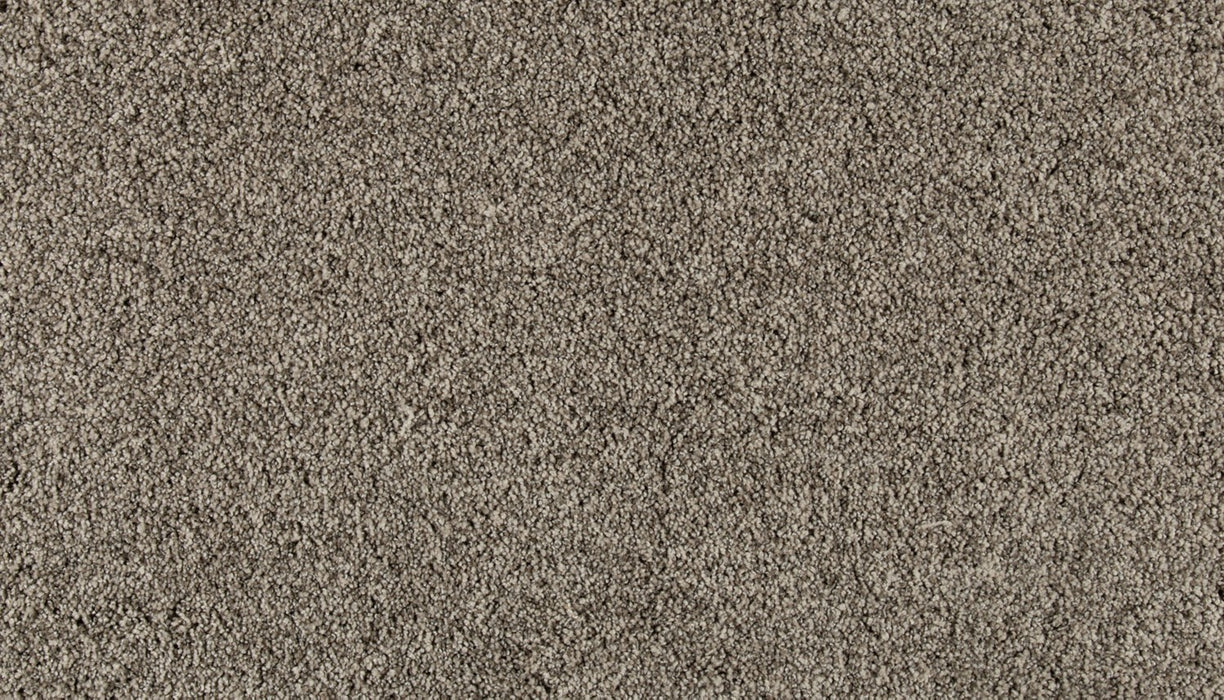 Olympus III Polyester Mushroom 958 Carpet Textured 1