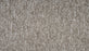 Oak Shade Polyester Driftwood 868 Carpet Pattern 1