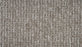 Cedar Touch Polyester Driftwood 868 Carpet Pattern 1