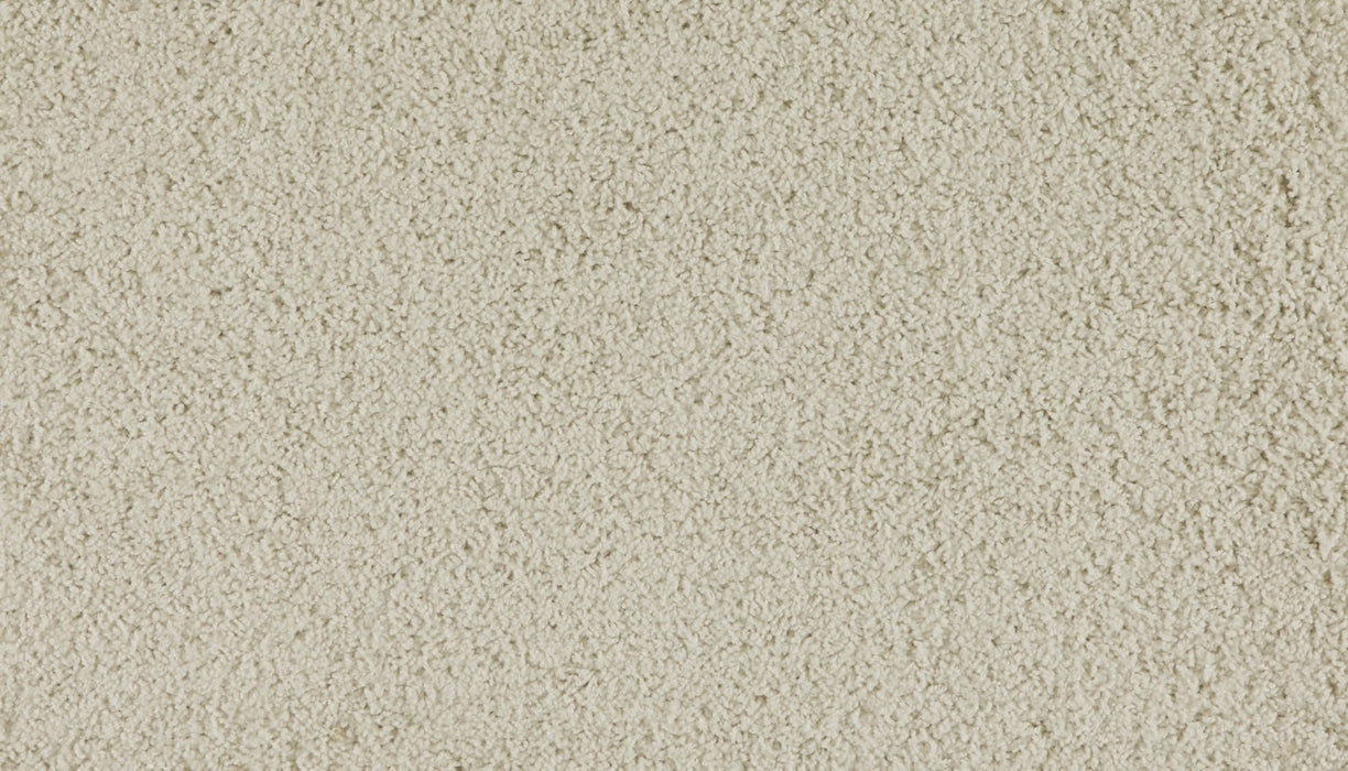 Marciano Polyester Voyager 717 Carpet Textured 1