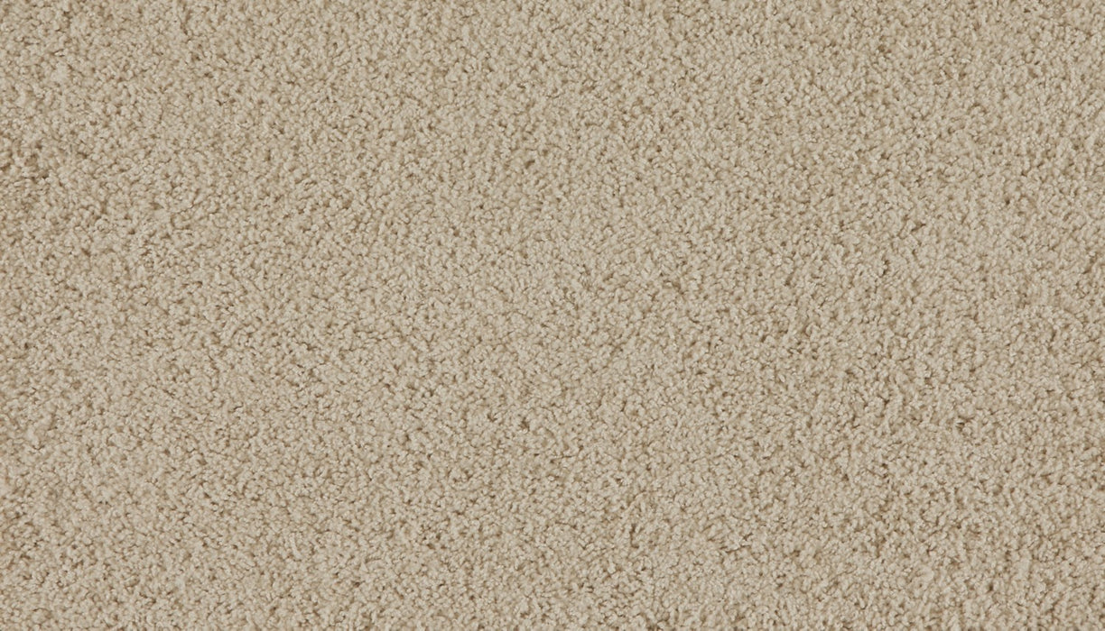 Marciano Polyester Trailhead 722 Carpet Textured 1