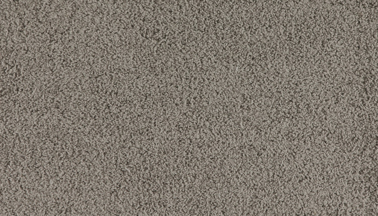 Marciano Polyester Amber Grain 849 Carpet Textured 1