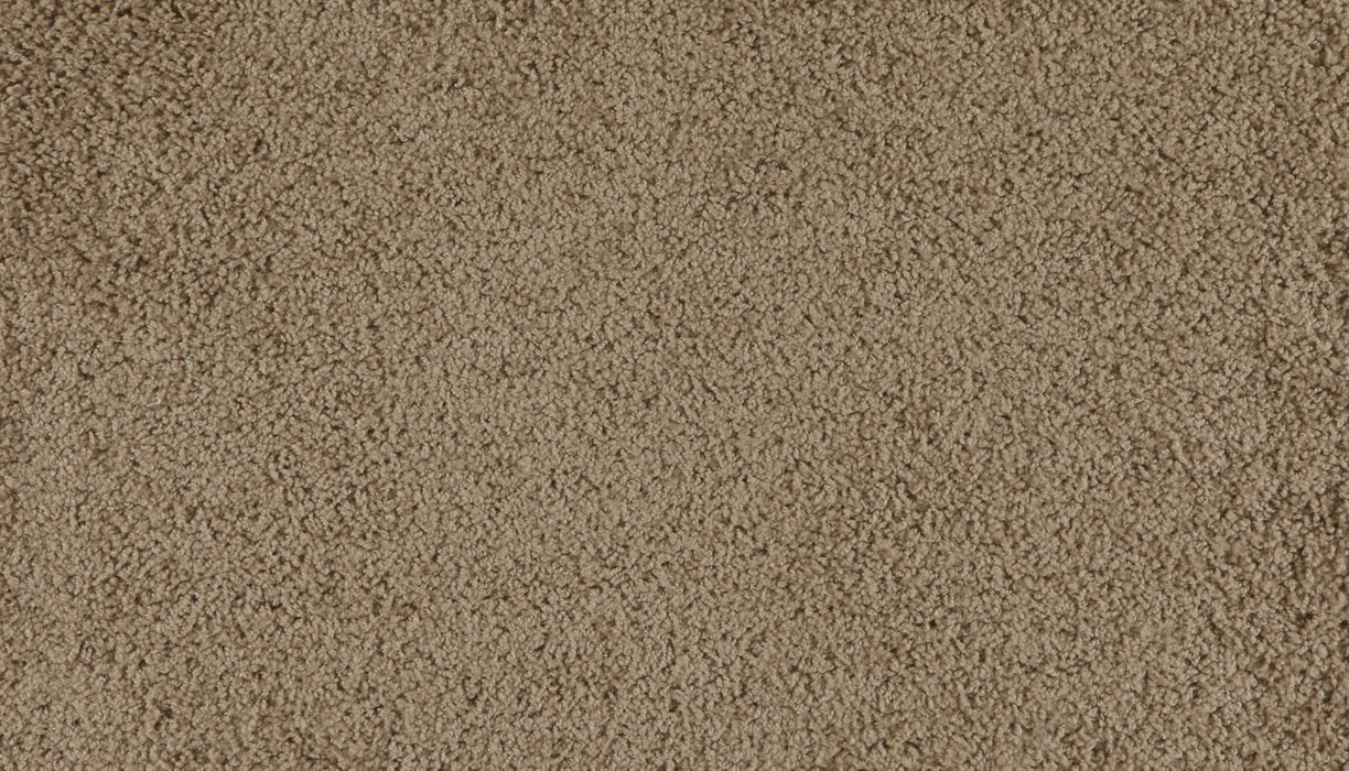 Marciano Polyester Chestnut Hill 852 Carpet Textured 1
