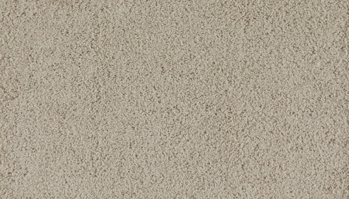 Marciano Polyester Saffron Fields 917 Carpet Textured 1