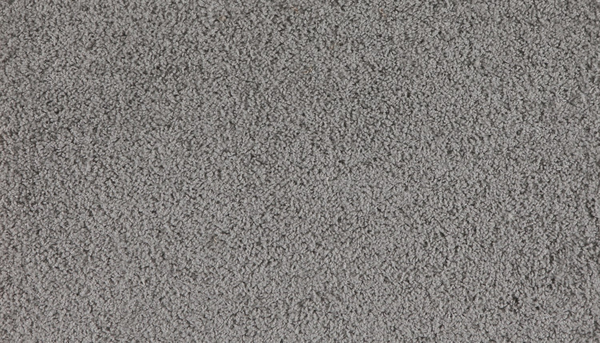 Marciano Polyester Maplewood 959 Carpet Textured 1