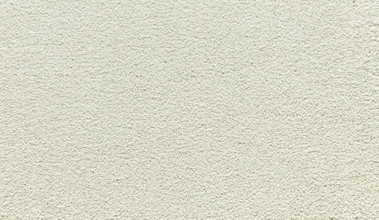 Quality Living III Triexta Pearl Essence 721 Carpet Textured 1
