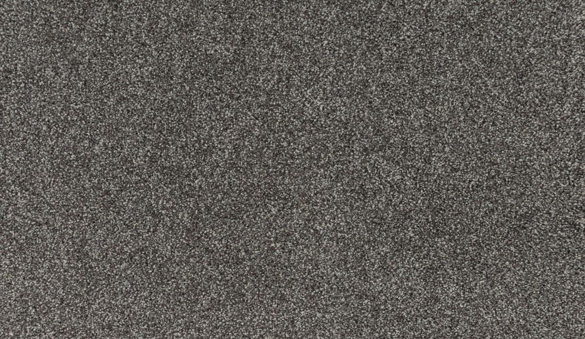 Quality Living III Triexta Lite Espresso 873 Carpet Textured 1