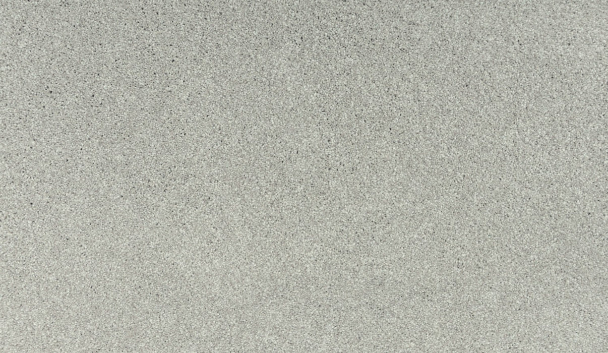 Quality Living III Triexta Seagull 917 Carpet Textured 1