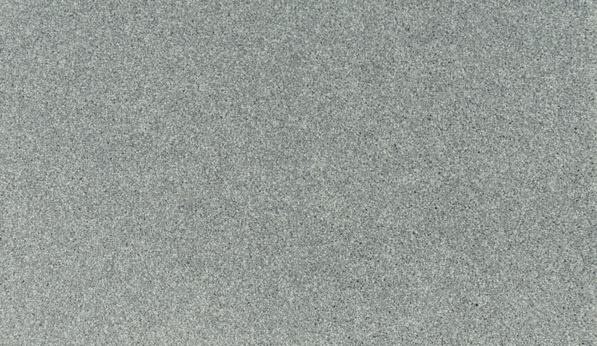 Quality Living III Triexta Lambs Ear 925 Carpet Textured 1