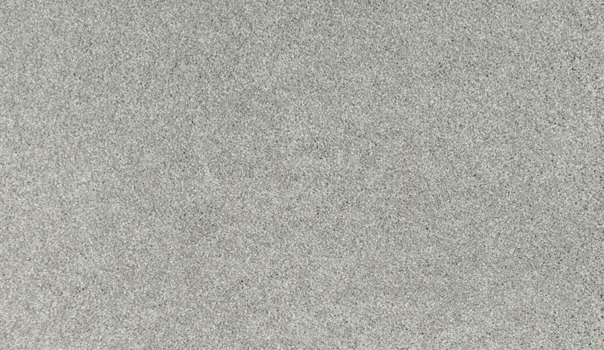 Quality Living III Triexta Oyster 938 Carpet Textured 1
