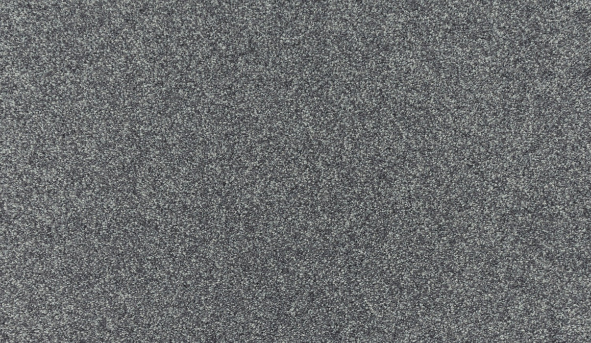 Quality Living III Triexta Shilling 946 Carpet Textured 1