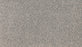 Innovative Comfort III Triexta Radiance 939 Carpet Textured 1