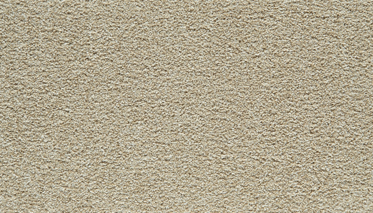 Gentle Guardian II Polyester Bone 711 Carpet Textured 1