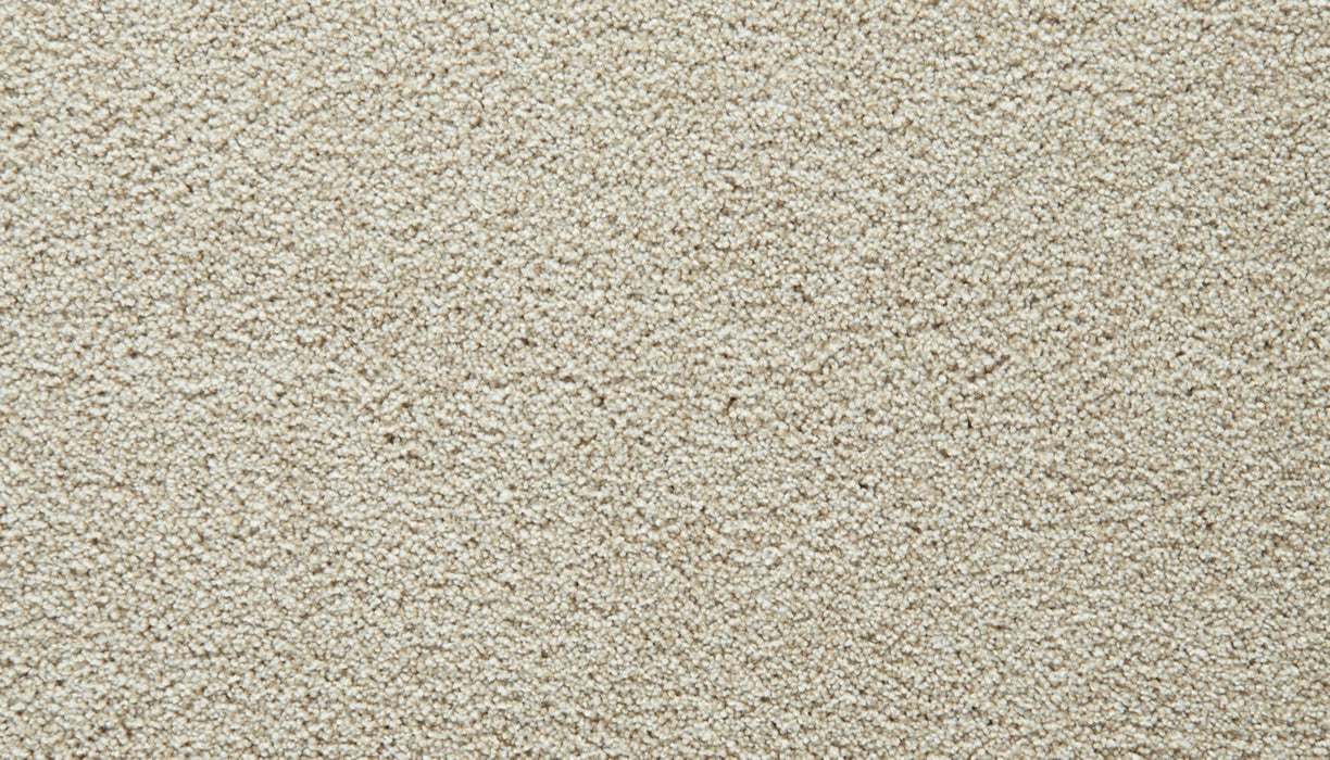 Gentle Guardian I Polyester Shoreside 715 Carpet Textured 1