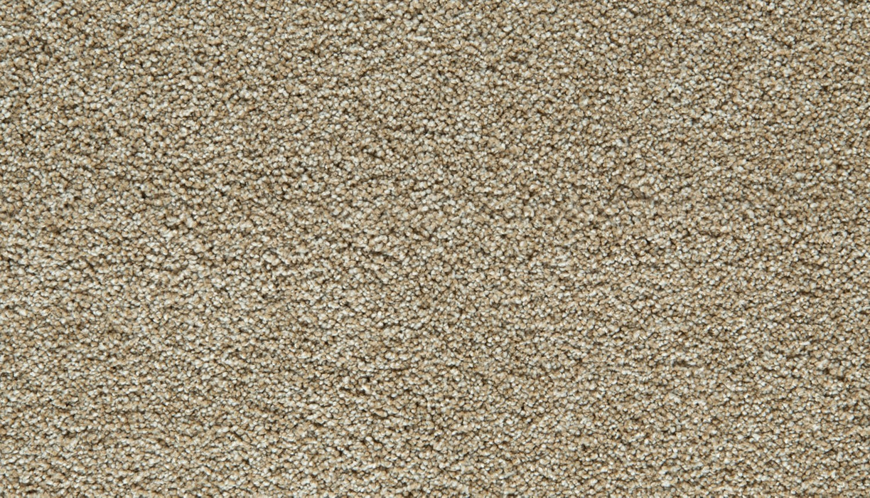Gentle Guardian II Polyester Harmony 777 Carpet Textured 1
