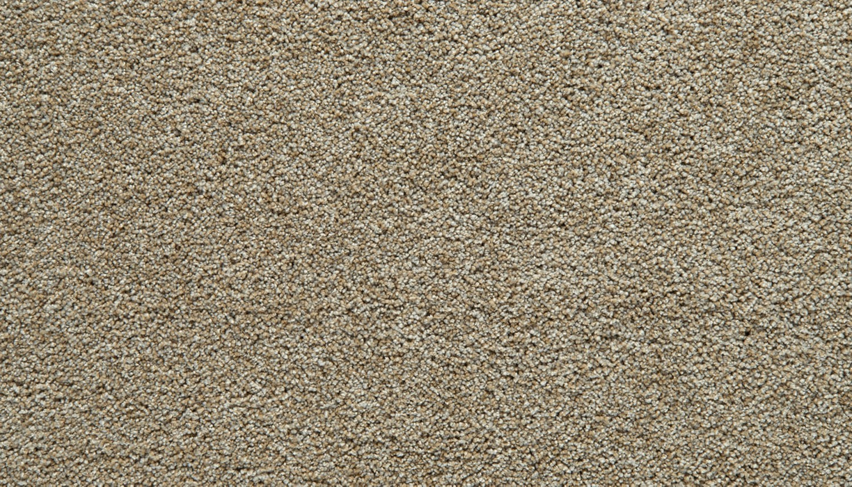 Gentle Guardian I Polyester Daylight 852 Carpet Textured 1