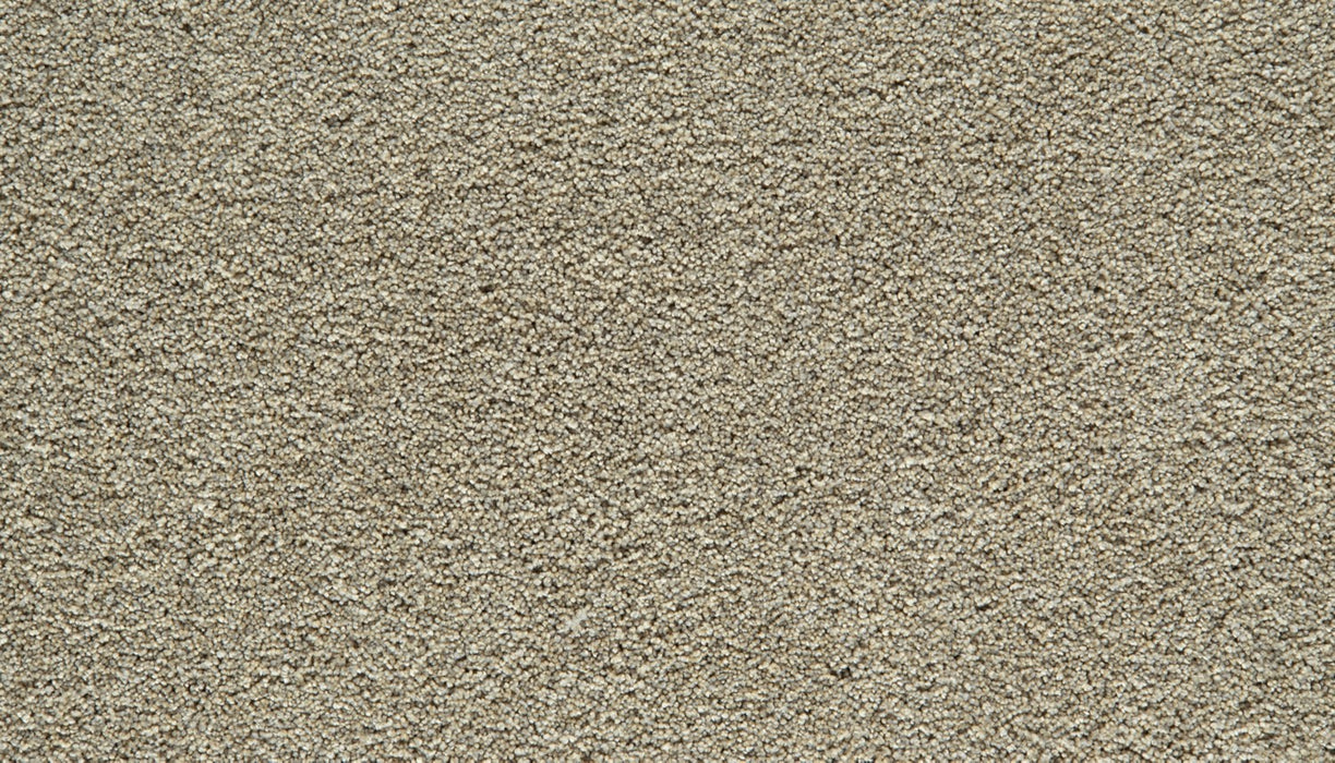 Gentle Guardian I Polyester Rainstorm 859 Carpet Textured 1