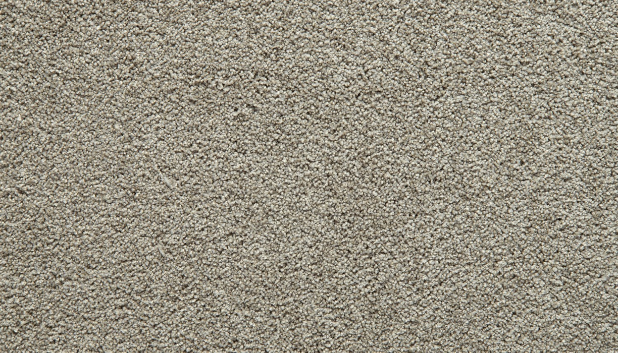 Gentle Guardian II Polyester Shadow 879 Carpet Textured 1