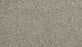 Gentle Guardian II Polyester Shadow 879 Carpet Textured 1
