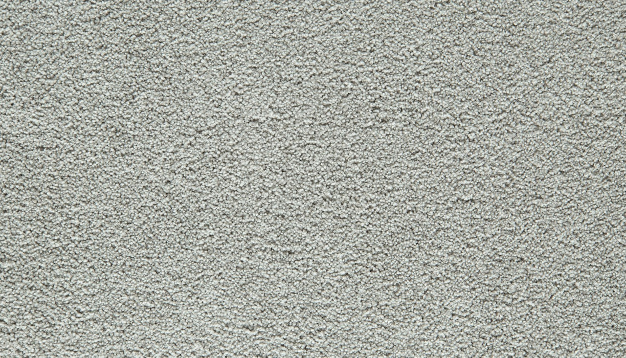 Gentle Guardian II Polyester Mercury 909 Carpet Textured 1