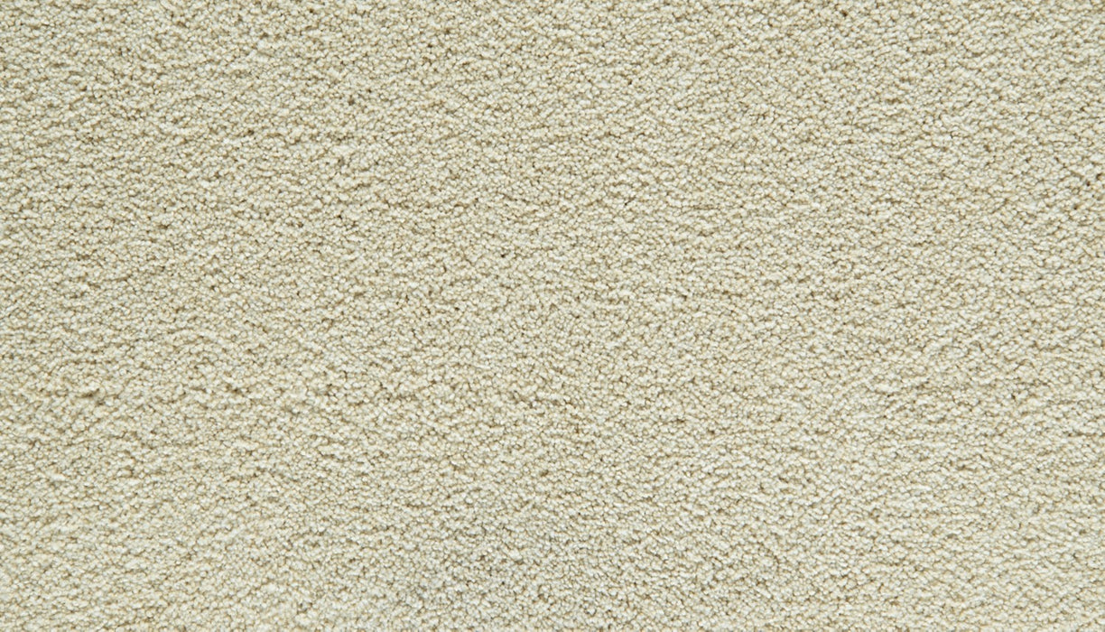 Gentle Guardian III Polyester Dewdrop 705 Carpet Textured 1