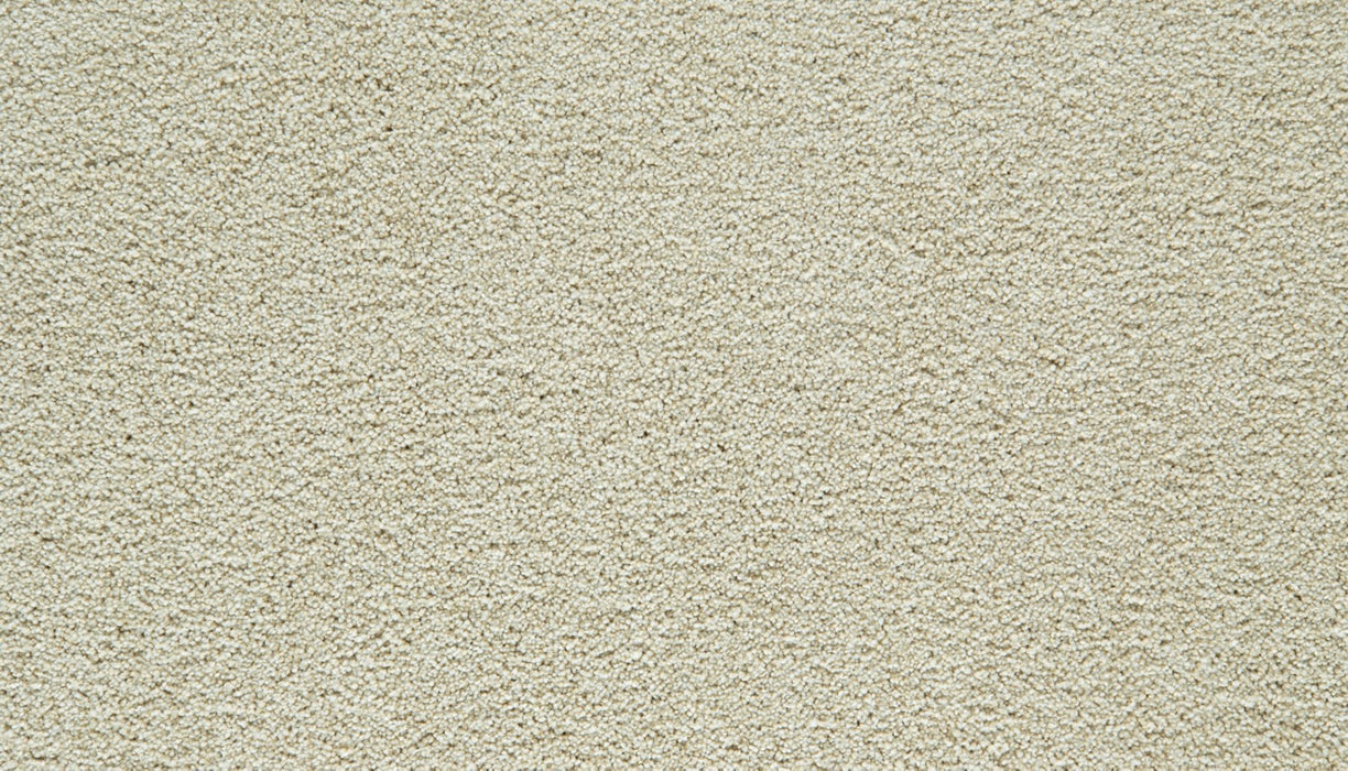 Gentle Guardian III Polyester Cozy Beige 712 Carpet Textured 1
