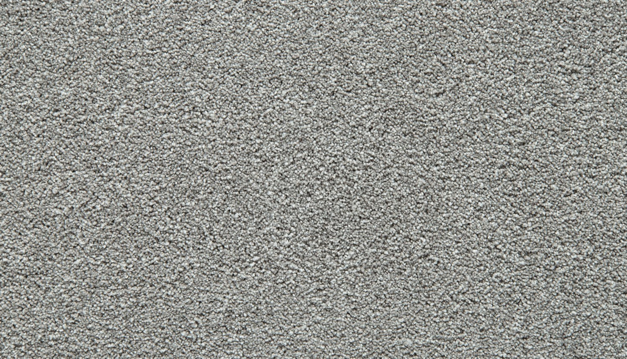 Gentle Guardian III Polyester Subtle Gray 956 Carpet Textured 1