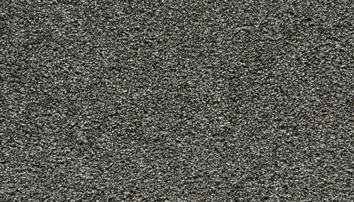 Gentle Guardian III Polyester New Moon 989 Carpet Textured 1