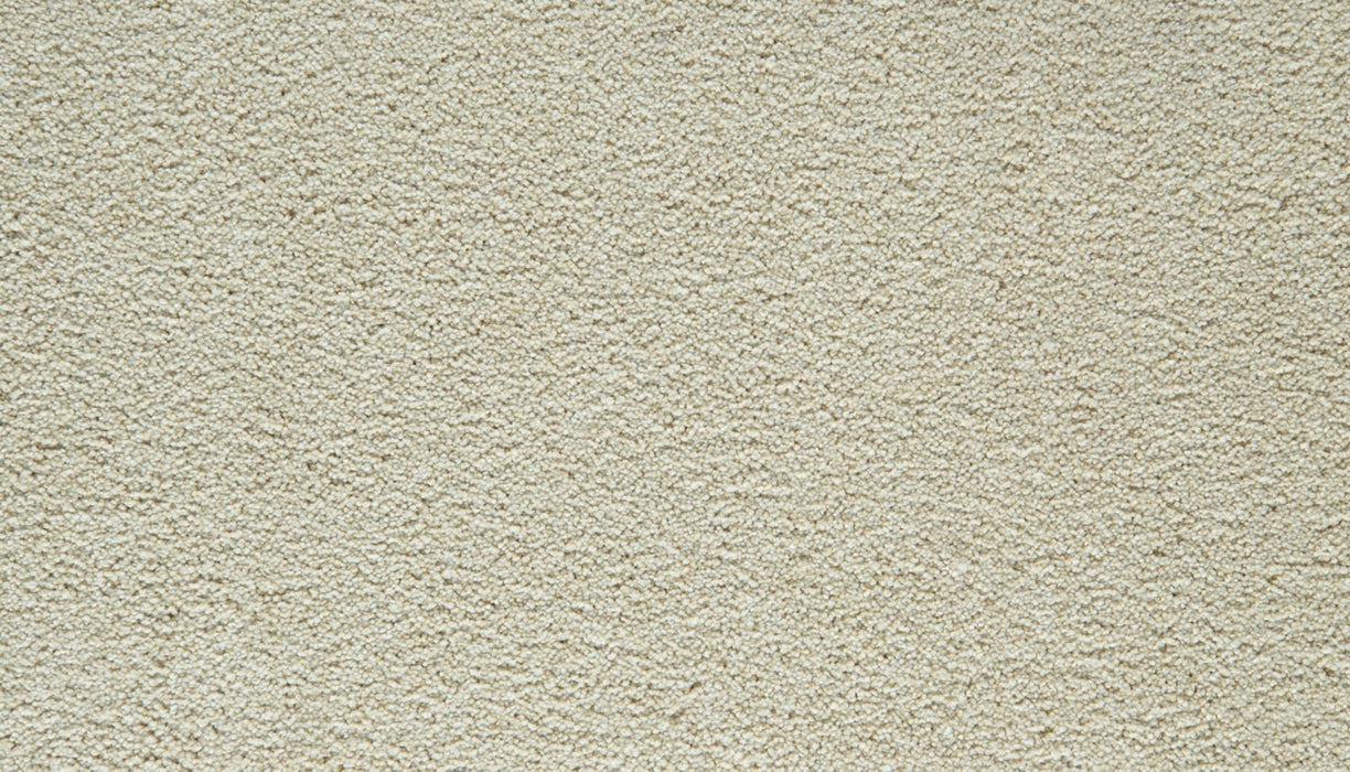 Gentle Guardian IV Polyester Dewdrop 705 Carpet Textured 1