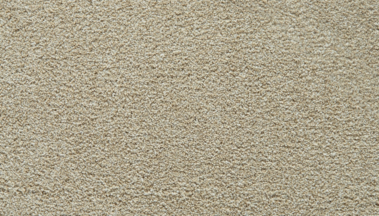 Gentle Guardian IV Polyester Bone 711 Carpet Textured 1