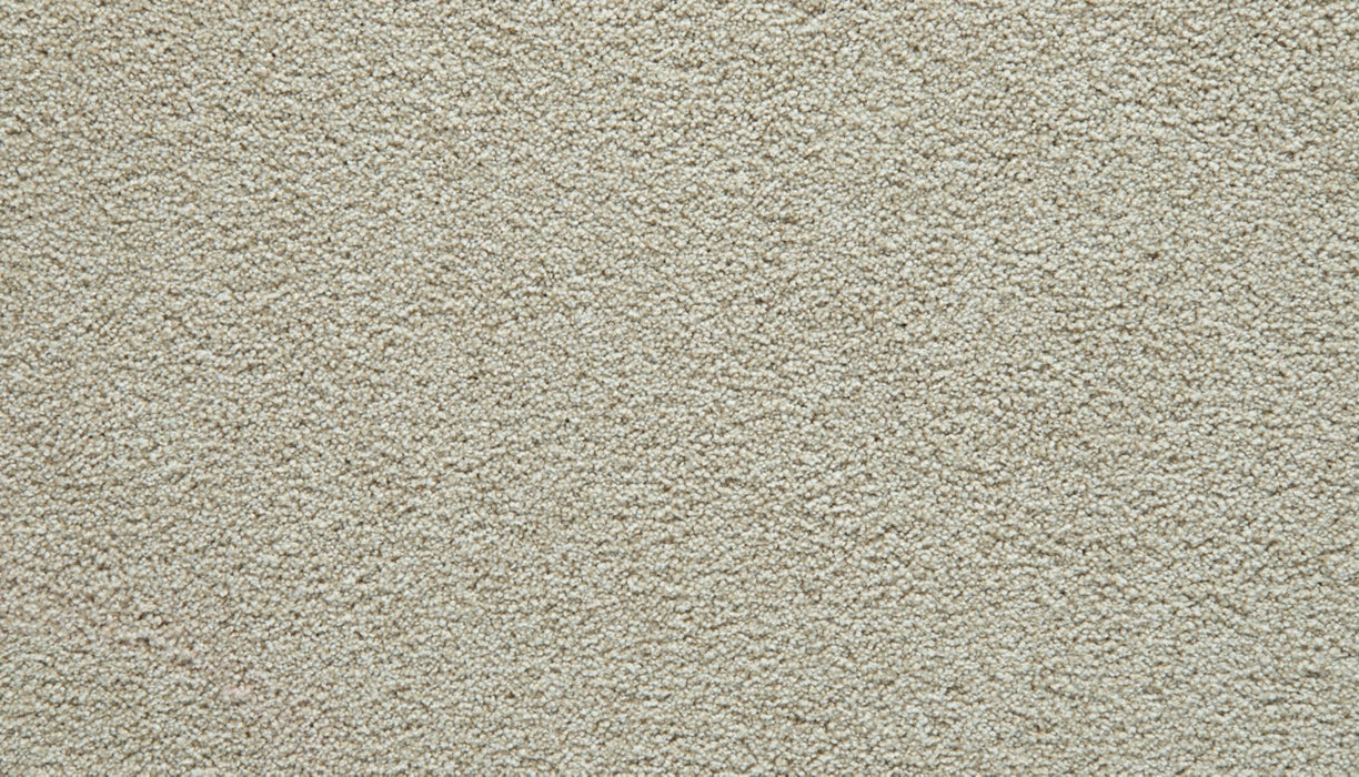 Gentle Guardian IV Polyester Shoreside 715 Carpet Textured 1