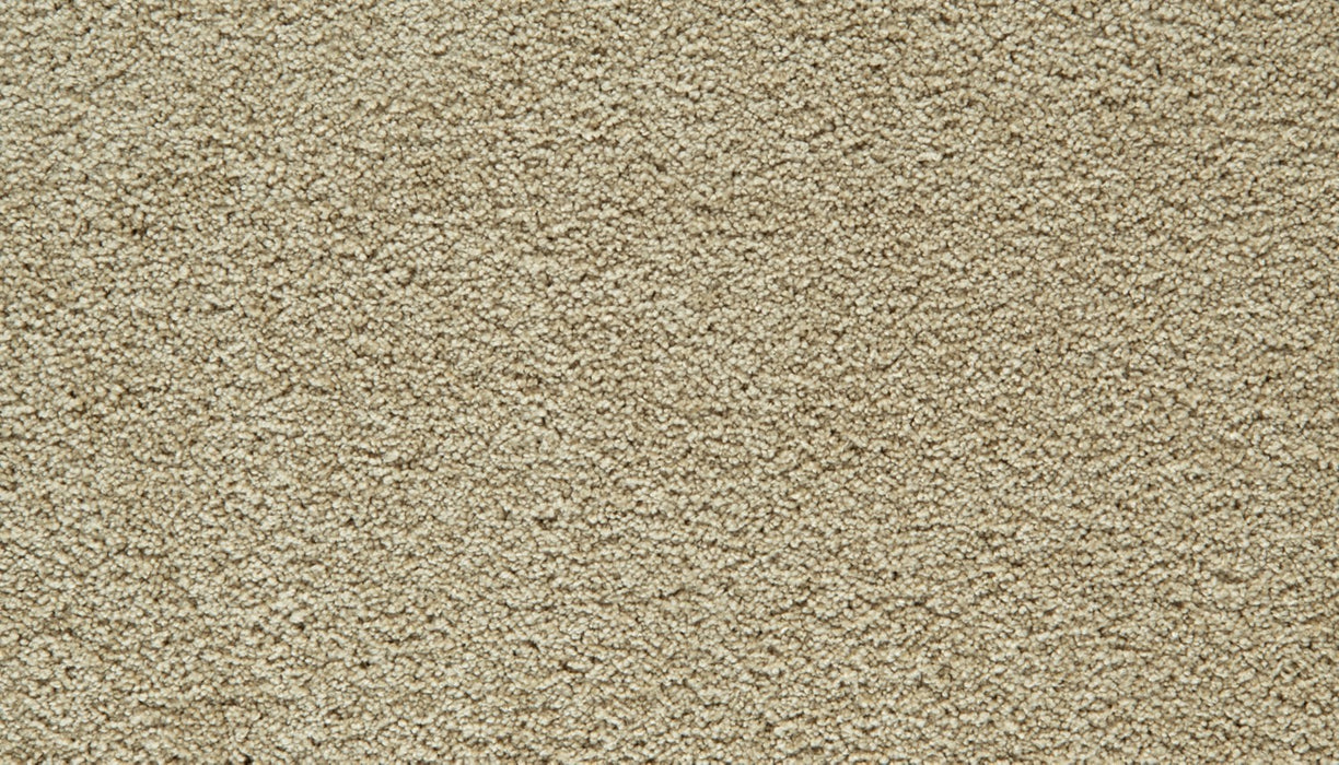 Gentle Guardian IV Polyester Husk 722 Carpet Textured 1