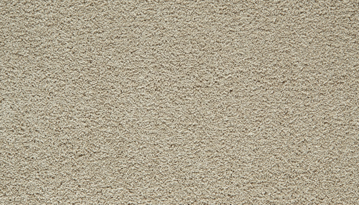 Gentle Guardian IV Polyester Sandy Beach 737 Carpet Textured 1