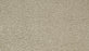 Gentle Guardian IV Polyester Sandy Beach 737 Carpet Textured 1