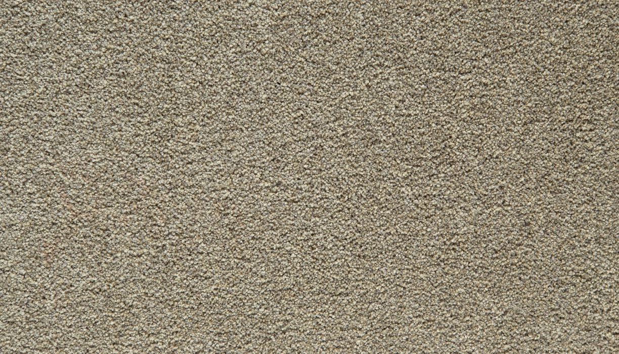 Gentle Guardian IV Polyester Rainstorm 859 Carpet Textured 1