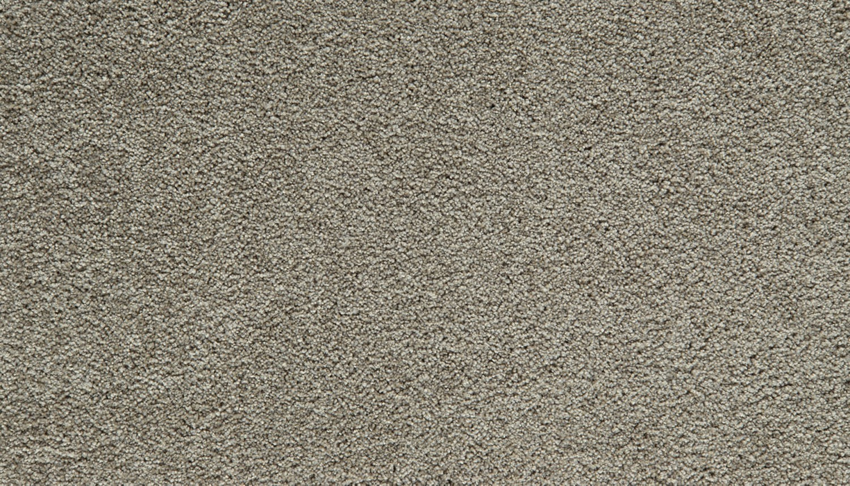 Gentle Guardian IV Polyester Shadow 879 Carpet Textured 1