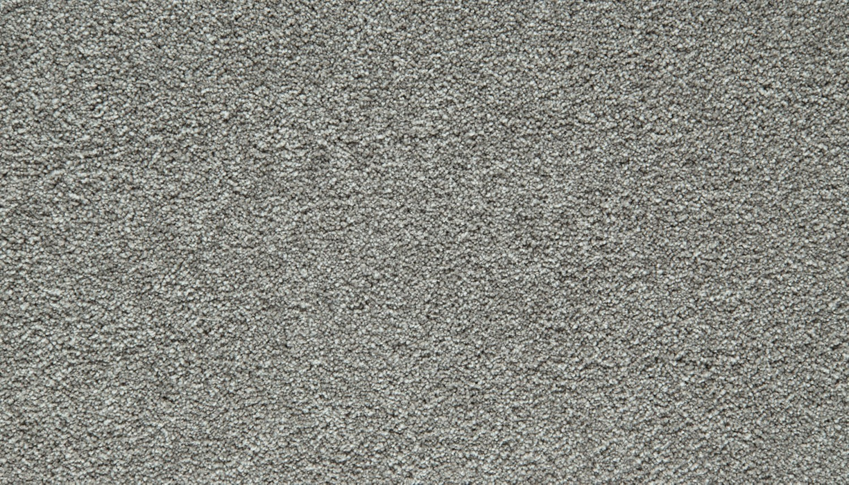 Gentle Guardian IV Polyester Subtle Gray 956 Carpet Textured 1