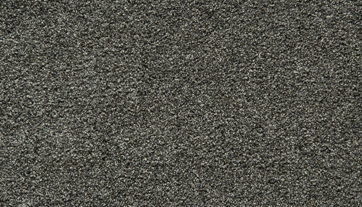 Gentle Guardian IV Polyester New Moon 989 Carpet Textured 1