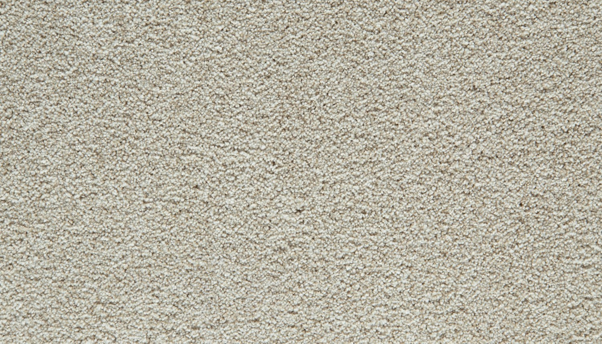 Cozy Companion I Polyester Frosted Almond 702 Carpet Textured 1