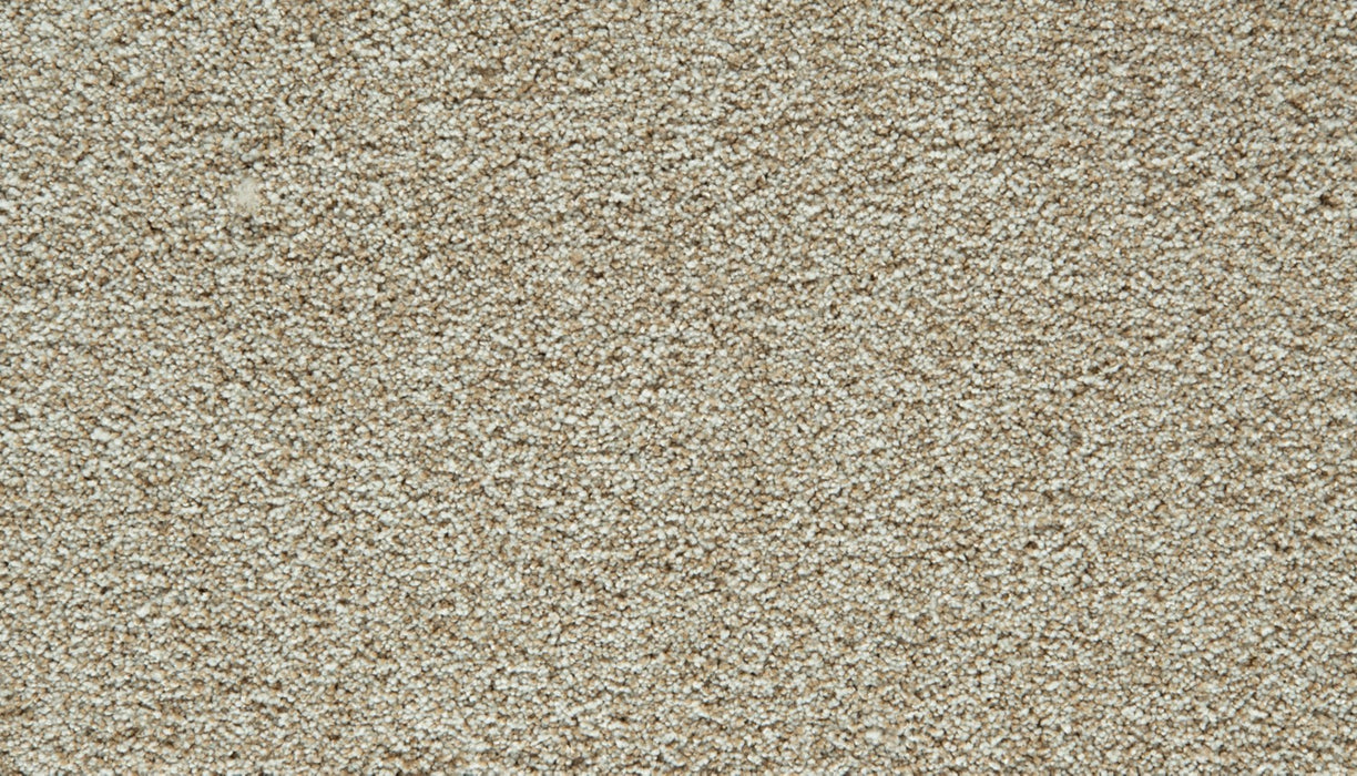 Cozy Companion I Polyester Coconut 707 Carpet Textured 1