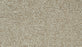 Cozy Companion I Polyester Coconut 707 Carpet Textured 1