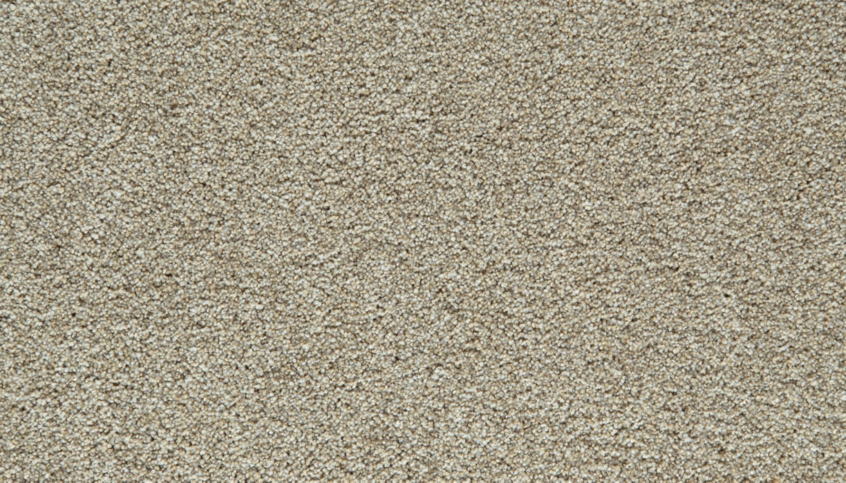 Cozy Companion I Polyester Ivory 708 Carpet Textured 1