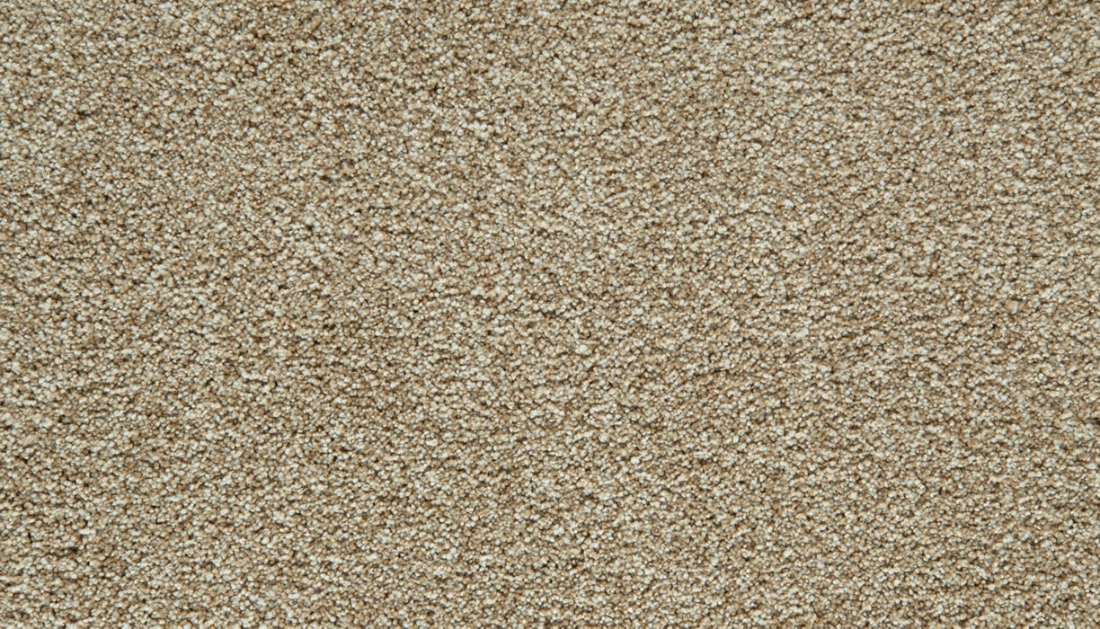 Cozy Companion I Polyester Soft Echo 731 Carpet Textured 1