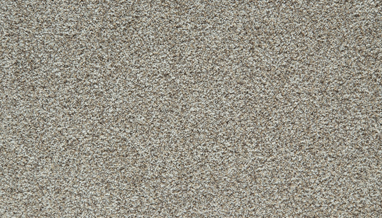 Cozy Companion I Polyester Fawn 739 Carpet Textured 1