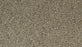 Cozy Companion I Polyester Barn Owl 759 Carpet Textured 1